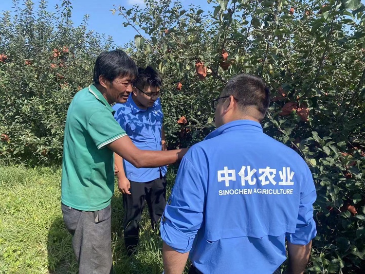 MAP9 尊龙凯时人生就是搏(中国区)官方网站