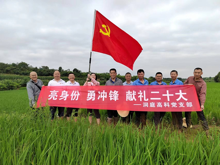 dt2 尊龙凯时人生就是搏(中国区)官方网站