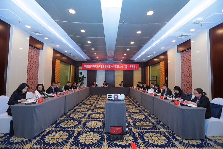 第一代表团.JPG 尊龙凯时人生就是搏(中国区)官方网站